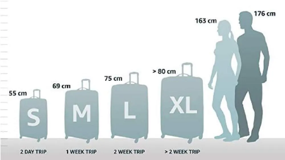 American Tourister M 81 L, Black (Bass Black), Medium (67 cm-81 Litre)