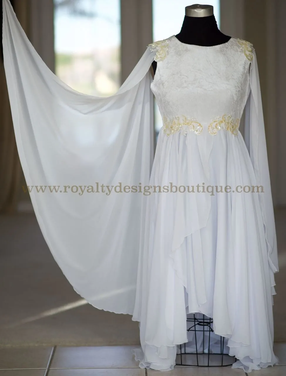 Angel Wing elegant Dance Garment