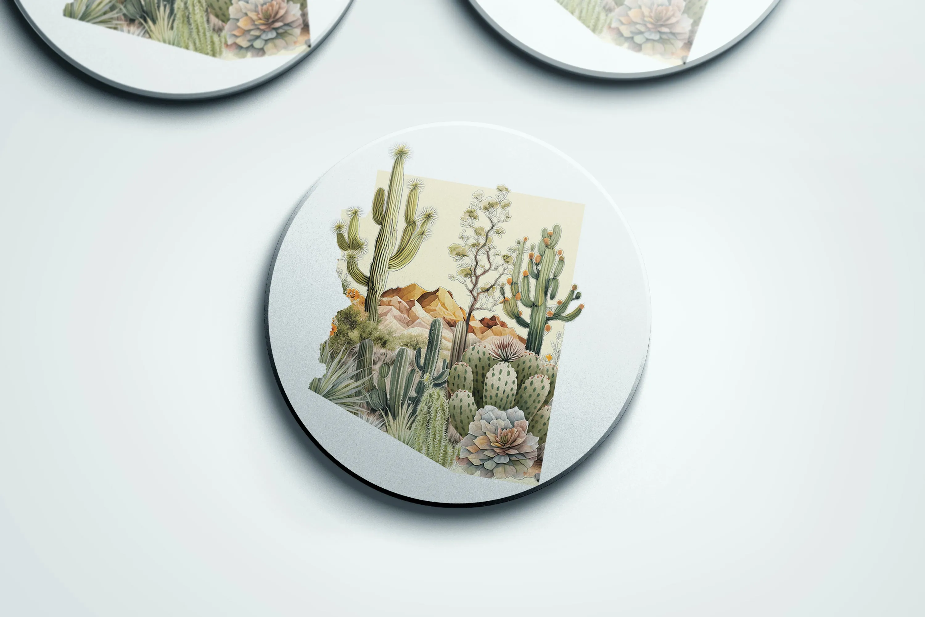 Arizona Winter | Four Seasons Series