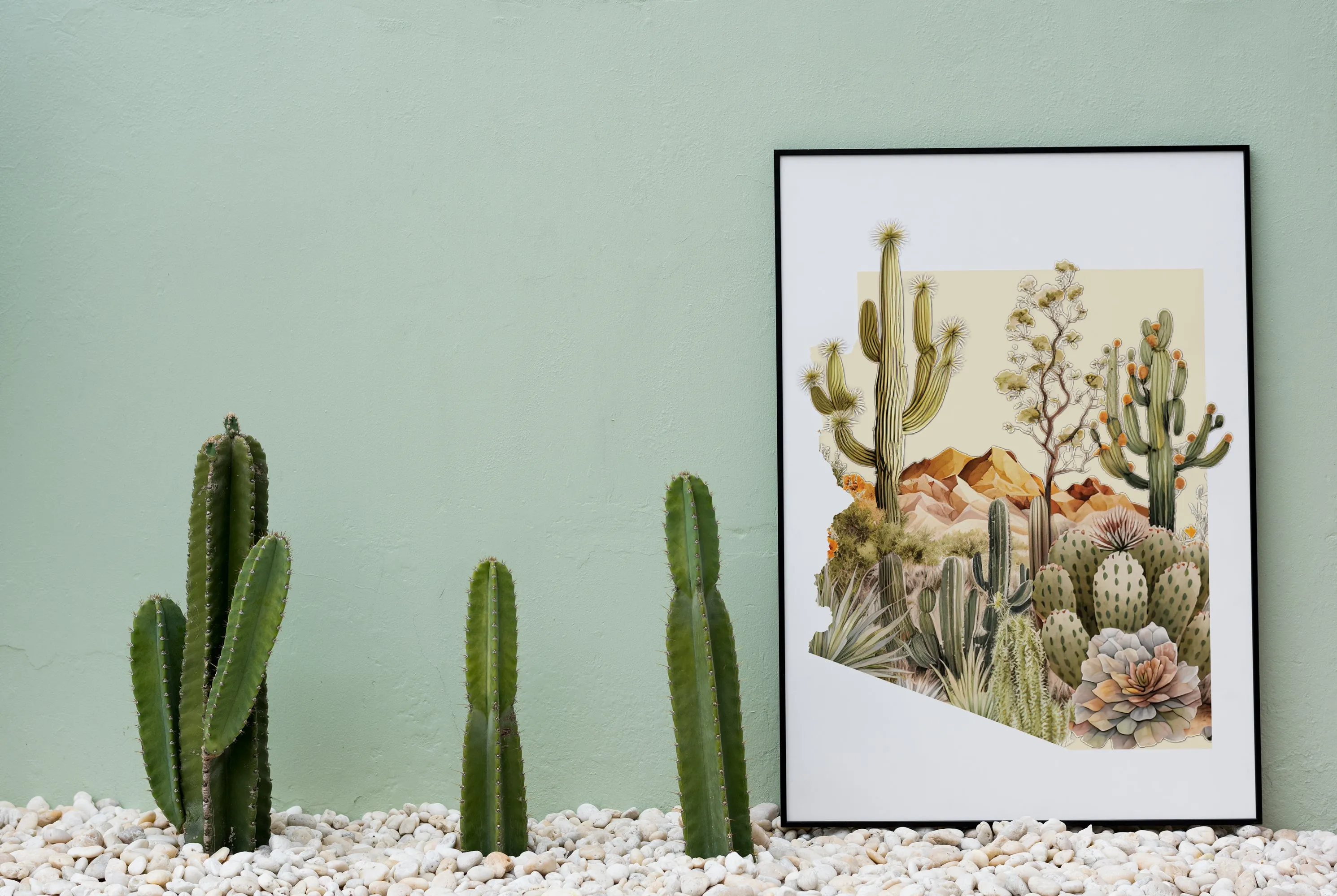Arizona Winter | Four Seasons Series