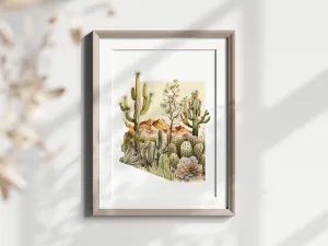 Arizona Winter | Four Seasons Series