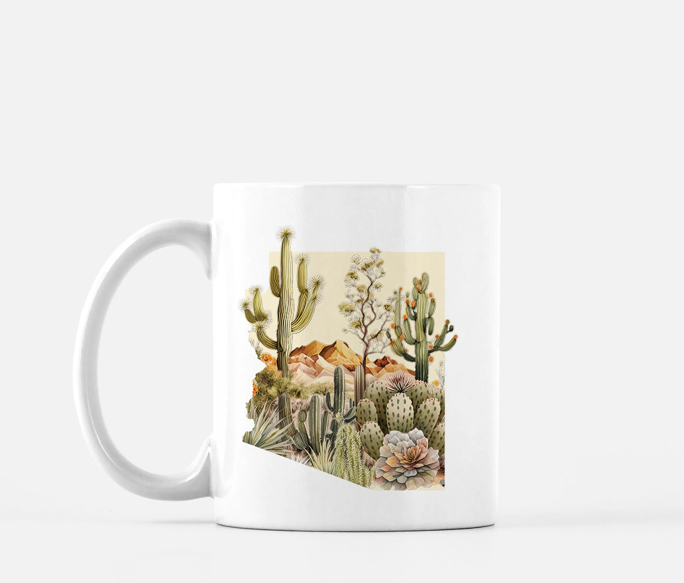Arizona Winter | Four Seasons Series