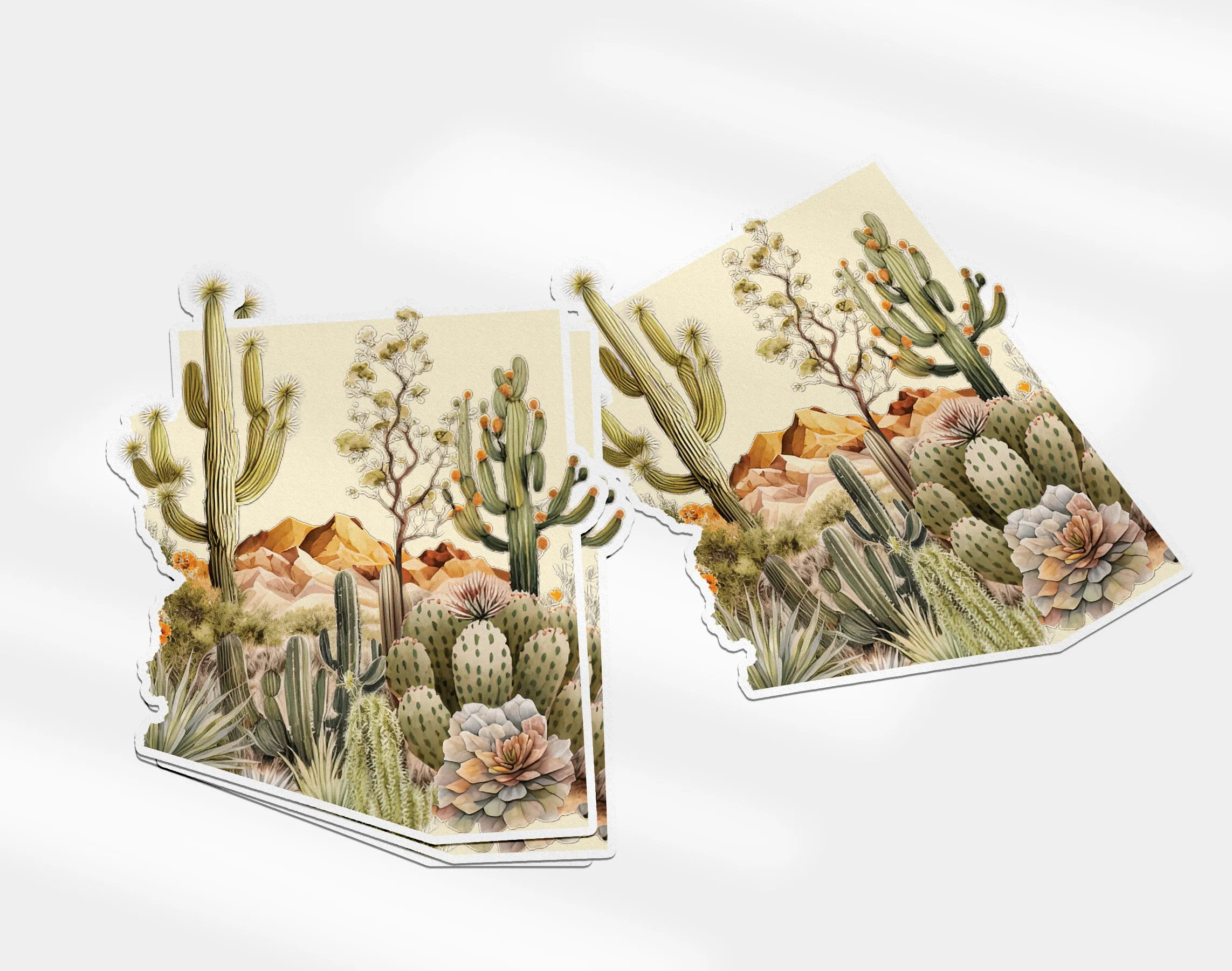 Arizona Winter | Four Seasons Series
