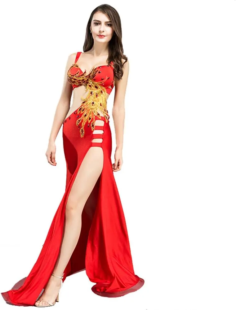 Belly Dance Dress Belly Dance Costume Dancer Costumes for Women Phoenix Dancing Dresses Carnival Outfit