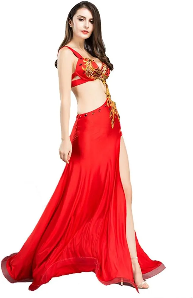 Belly Dance Dress Belly Dance Costume Dancer Costumes for Women Phoenix Dancing Dresses Carnival Outfit