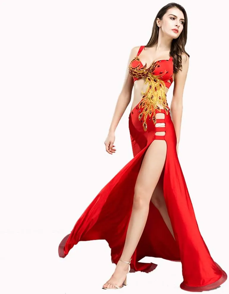 Belly Dance Dress Belly Dance Costume Dancer Costumes for Women Phoenix Dancing Dresses Carnival Outfit