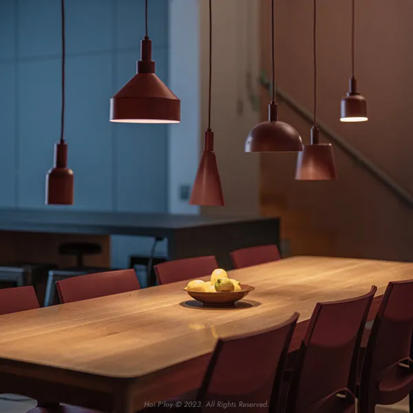 Black Menagerie Pendant Light