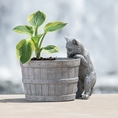 Kitten Bucket Planter for Just Jill
