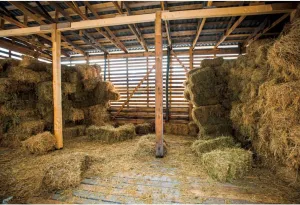 Western Barn Backdrop for Photography Western Cowboy Farm Barn Photo Backdrop 10x8ft Haystacks Farmhouse Background Retro Wooden Shed Backdrop West Cowboy Party Backdrops Kids Adult Props