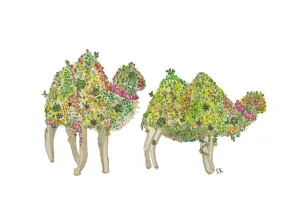 Whimsical Camel Notecards