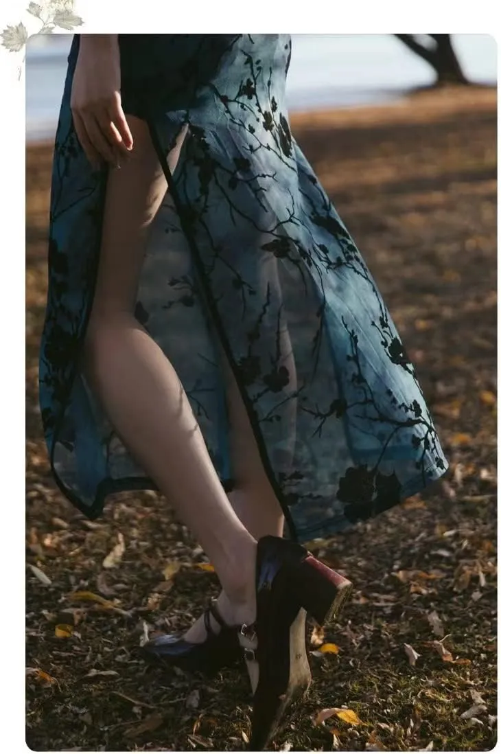 Women's Cheongsam Dance Dress Shorts Mesh Split Dress Chinese Style Robes Dancing Training Dress