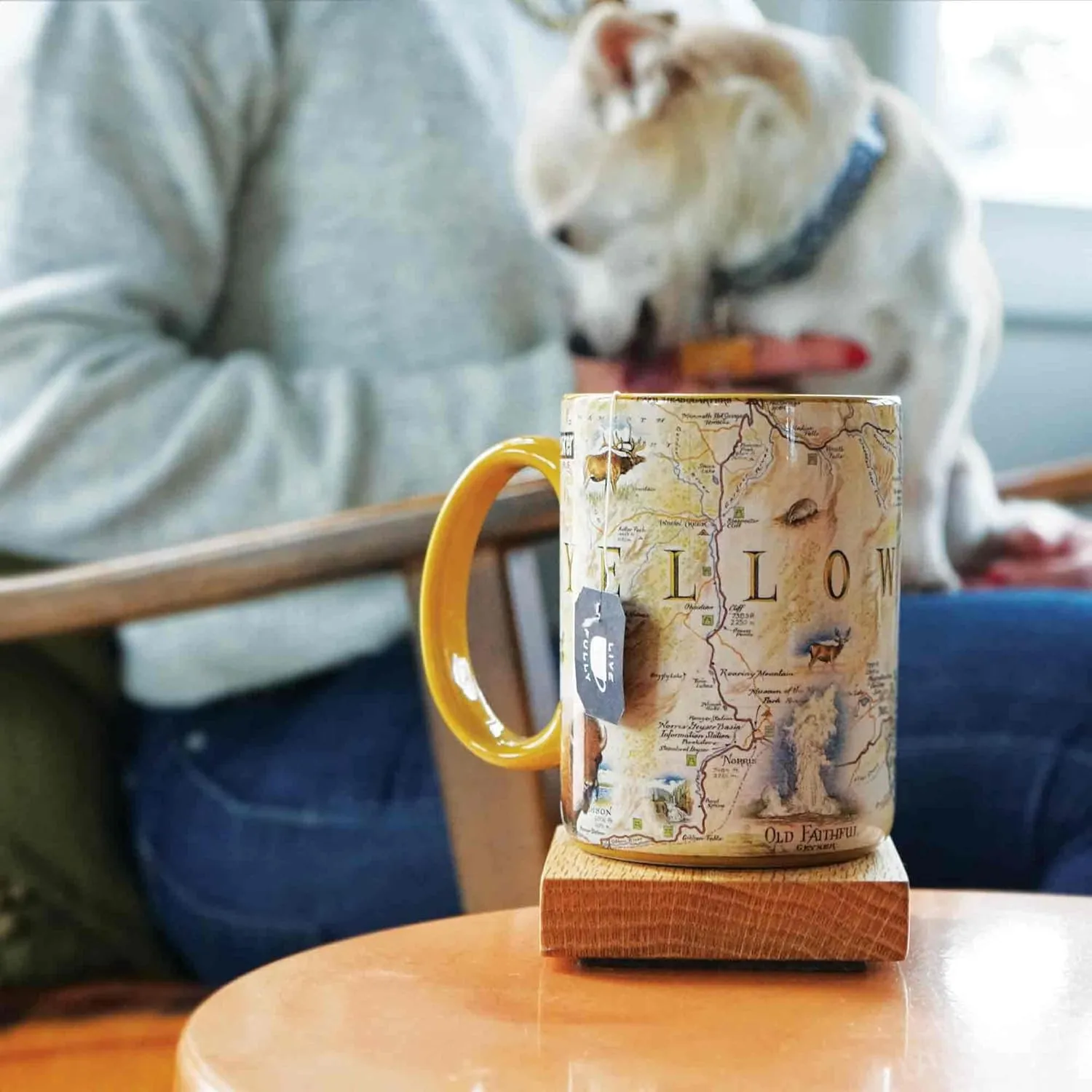 Yellowstone National Park Ceramic Mug (16oz) – BPA-Free Coffee Cup for Hot & Cold Drinks – Perfect for Office, Home, or Gift